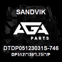 DTDP05123031S-746 Sandvik DP512"/30'/.75"/PB/312B/ST52/DMM | AGA Parts