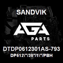DTDP0612301AS-793 Sandvik DP612"/30'/1"/PBHF/4B/ST52/DM45 | AGA Parts