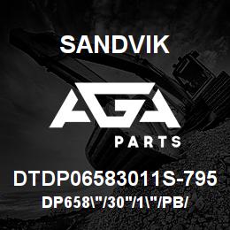 DTDP06583011S-795 Sandvik DP658"/30'/1"/PB/412B/ST52/D45KS | AGA Parts