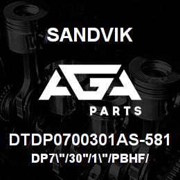 DTDP0700301AS-581 Sandvik DP7"/30'/1"/PBHF/412B/ST52/D45KS | AGA Parts
