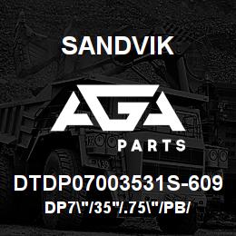DTDP07003531S-609 Sandvik DP7"/35'/.75"/PB/412B/ST52/SKF | AGA Parts
