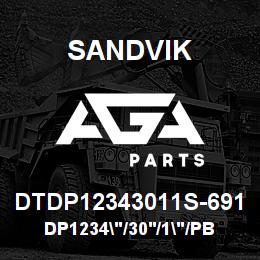 DTDP12343011S-691 Sandvik DP1234"/30'/1"/PB/8B/52/B49R | AGA Parts