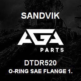 DTDR520 Sandvik O-RING SAE FLANGE 1.25" | AGA Parts