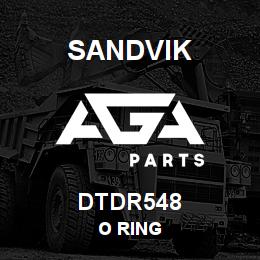 DTDR548 Sandvik O RING | AGA Parts