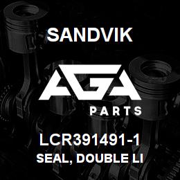 LCR391491-1 Sandvik SEAL, DOUBLE LI | AGA Parts