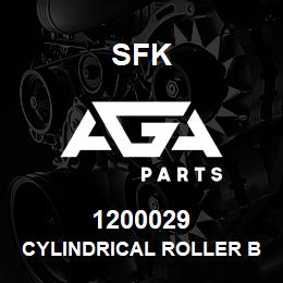 1200029 SFK CYLINDRICAL ROLLER BEARING | AGA Parts