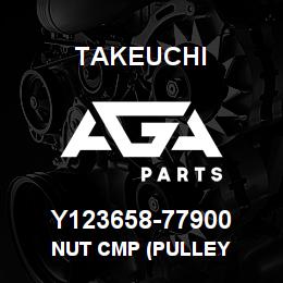 Y123658-77900 Takeuchi NUT CMP (PULLEY | AGA Parts