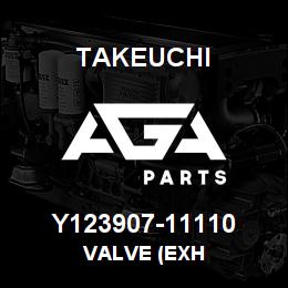Y123907-11110 Takeuchi VALVE (EXH | AGA Parts