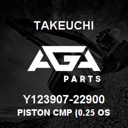 Y123907-22900 Takeuchi PISTON CMP (0.25 OS | AGA Parts