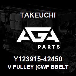 Y123915-42450 Takeuchi V PULLEY (CWP BBELT | AGA Parts