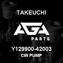Y129900-42003 Takeuchi CW PUMP | AGA Parts