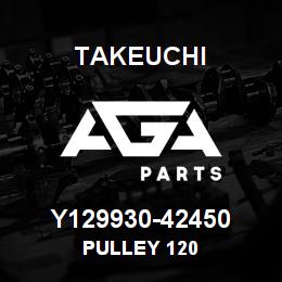 Y129930-42450 Takeuchi PULLEY 120 | AGA Parts