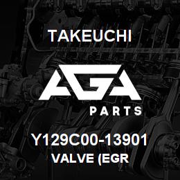 Y129C00-13901 Takeuchi VALVE (EGR | AGA Parts