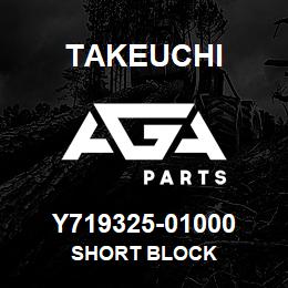 Y719325-01000 Takeuchi SHORT BLOCK | AGA Parts