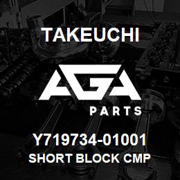 Y719734-01001 Takeuchi SHORT BLOCK CMP | AGA Parts