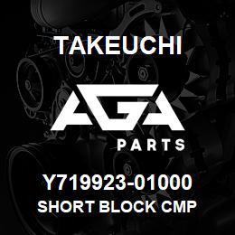 Y719923-01000 Takeuchi SHORT BLOCK CMP | AGA Parts