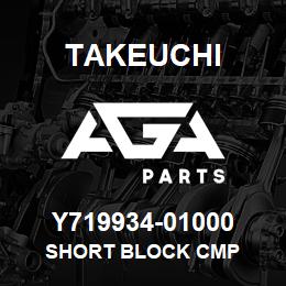 Y719934-01000 Takeuchi SHORT BLOCK CMP | AGA Parts