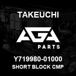 Y719980-01000 Takeuchi SHORT BLOCK CMP | AGA Parts
