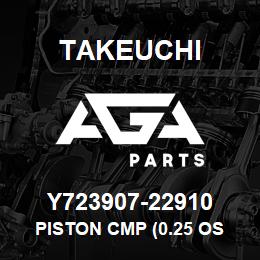 Y723907-22910 Takeuchi PISTON CMP (0.25 OS | AGA Parts