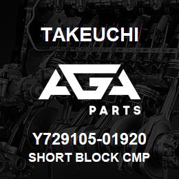 Y729105-01920 Takeuchi SHORT BLOCK CMP | AGA Parts