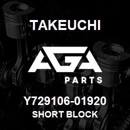 Y729106-01920 Takeuchi SHORT BLOCK | AGA Parts