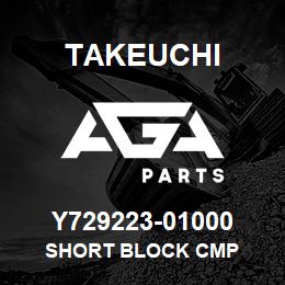 Y729223-01000 Takeuchi SHORT BLOCK CMP | AGA Parts