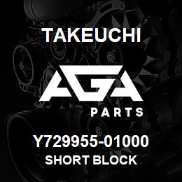 Y729955-01000 Takeuchi SHORT BLOCK | AGA Parts
