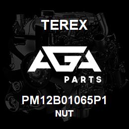 PM12B01065P1 Terex NUT | AGA Parts