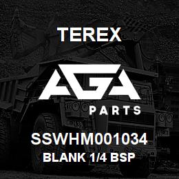 SSWHM001034 Terex BLANK 1/4 BSP | AGA Parts