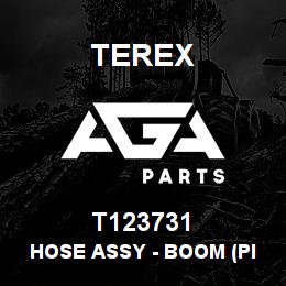 T123731 Terex HOSE ASSY - BOOM (PILOT - BOOM) | AGA Parts