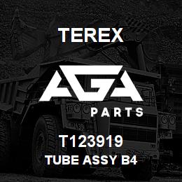 T123919 Terex TUBE ASSY B4 | AGA Parts