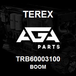 TRB60003100 Terex BOOM | AGA Parts