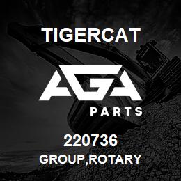 220736 Tigercat GROUP,ROTARY | AGA Parts