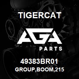 49383BR01 Tigercat GROUP,BOOM,215 | AGA Parts