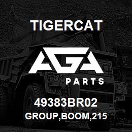 49383BR02 Tigercat GROUP,BOOM,215 | AGA Parts