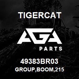 49383BR03 Tigercat GROUP,BOOM,215 | AGA Parts