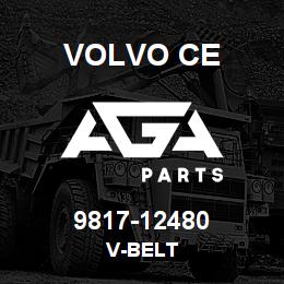 9817-12480 Volvo CE V-BELT | AGA Parts