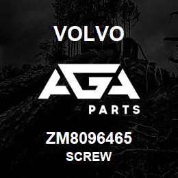 ZM8096465 Volvo Screw | AGA Parts