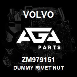 ZM979151 Volvo Dummy rivet nut | AGA Parts