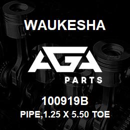 100919B Waukesha PIPE,1.25 X 5.50 TOE | AGA Parts