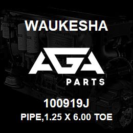 100919J Waukesha PIPE,1.25 X 6.00 TOE | AGA Parts