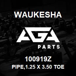 100919Z Waukesha PIPE,1.25 X 3.50 TOE | AGA Parts