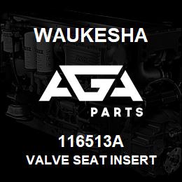 116513A Waukesha VALVE SEAT INSERT | AGA Parts