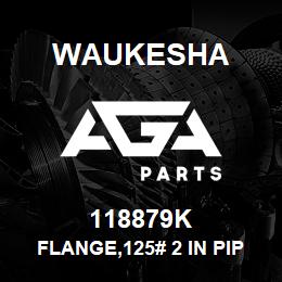 118879K Waukesha FLANGE,125# 2 IN PIPE | AGA Parts
