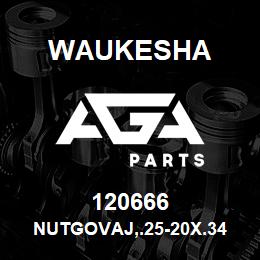 120666 Waukesha NUTGOVAJ,.25-20X.34 | AGA Parts