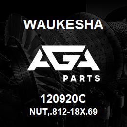 120920C Waukesha NUT,.812-18X.69 | AGA Parts