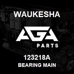 123218A Waukesha BEARING MAIN | AGA Parts