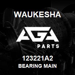 123221A2 Waukesha BEARING MAIN | AGA Parts