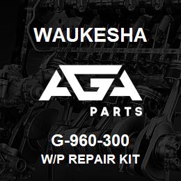 G-960-300 Waukesha W/P REPAIR KIT | AGA Parts