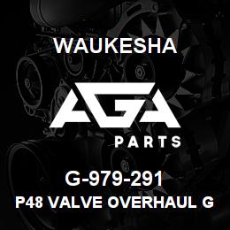 G-979-291 Waukesha P48 VALVE OVERHAUL GSKT KIT | AGA Parts